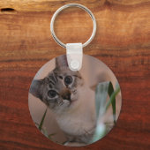 Cute Cat Photo Portrait Sleutelhanger (Voorkant)