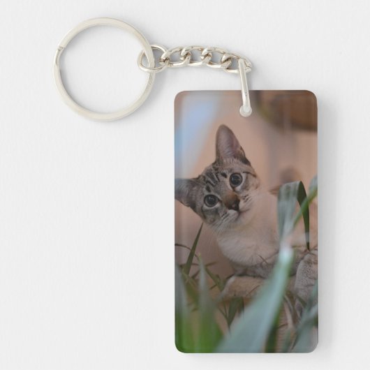 Cute Cat Photo Portrait Sleutelhanger (Voorkant)