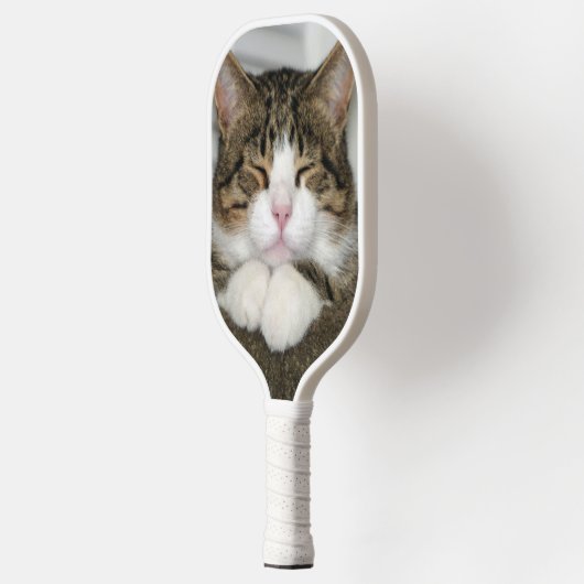 Cute Cat Pickleball Paddle (Links)
