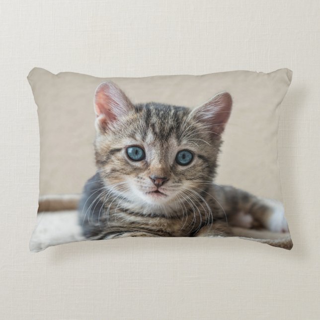 Cute Cat Pillow Accent Kussen (Voorkant)
