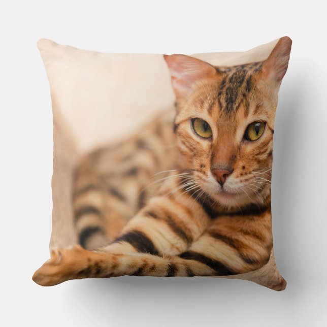 Cute Cat Polyester Sierkussen 20 x 20 inch (Voorkant)
