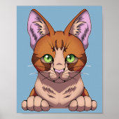 Cute Cat Poster (Voorkant)