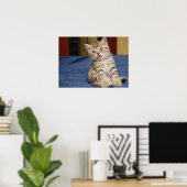 Cute Cat Poster (Thuiskantoor)