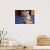 Cute Cat Poster (Keuken)