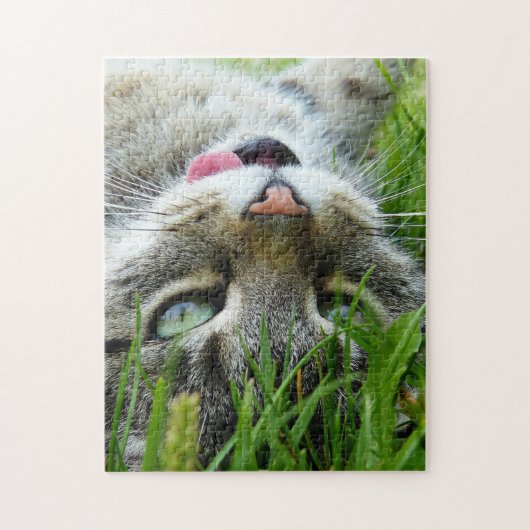 Cute Cat puzzels (Verticaal)