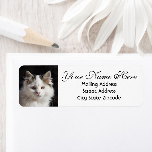 Cute Cat Return-adres Etiket (Insitu)