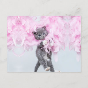 Cute Cat roze pluim Briefkaart