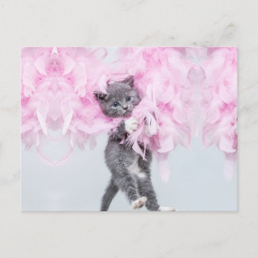 Cute Cat roze pluim Briefkaart (Voorkant)