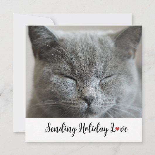 Cute Cat Sending Holiday Love (Voorkant)