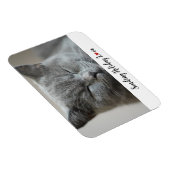 Cute Cat Sending Holiday Love Magneet (Rechterzijde)