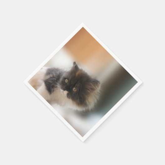 Cute Cat Servet (Hoek)