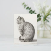 Cute Cat Sketch Jean-Bernard Duvivier Briefkaart (Staand voorkant)