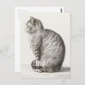 Cute Cat Sketch Jean-Bernard Duvivier Briefkaart (Voorkant / Achterkant)