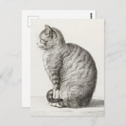 Cute Cat Sketch Jean-Bernard Duvivier Briefkaart (Voorkant / Achterkant)