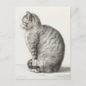 Cute Cat Sketch Jean-Bernard Duvivier Briefkaart (Voorkant)