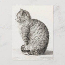 Cute Cat Sketch Jean-Bernard Duvivier Briefkaart