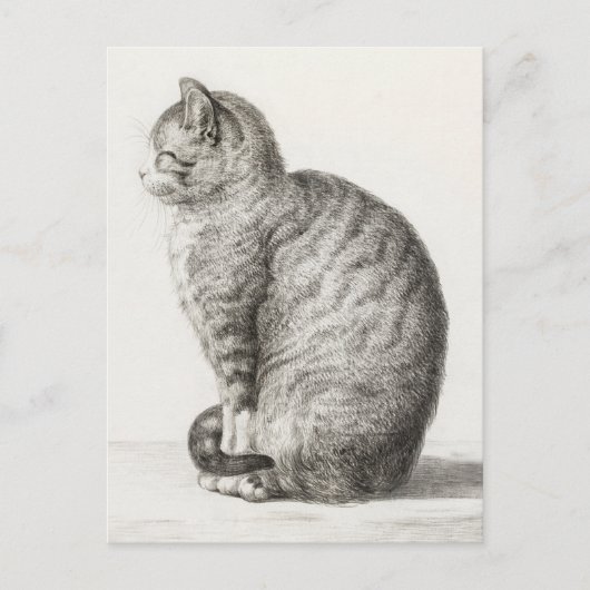 Cute Cat Sketch Jean-Bernard Duvivier Briefkaart (Voorkant)