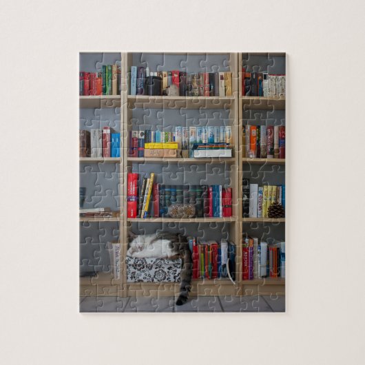 Cute cat slapen in boekenboekenboeken legpuzzel (Verticaal)