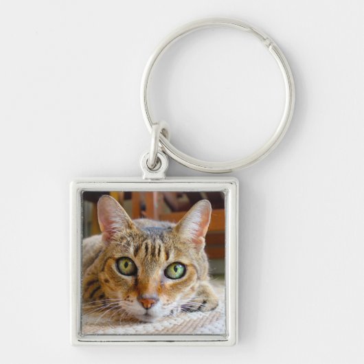 Cute Cat-sleutelketen Sleutelhanger (Voorkant)