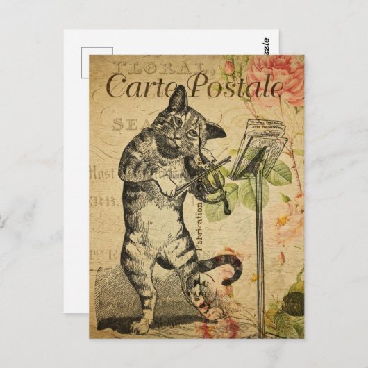 Cute Cat Spelling Fiddle Violin Frans Briefkaart (Voorkant / Achterkant)