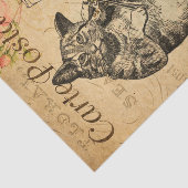  Cute Cat Spelling Fiddle Violin Frans Tissuepapier (Detail)