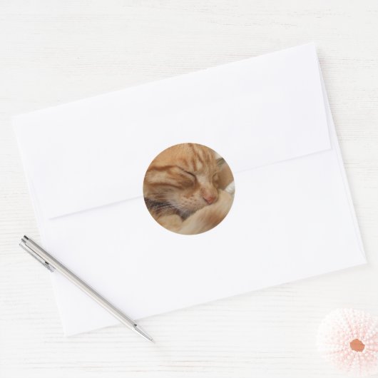 Cute Cat Stickers (Envelop)