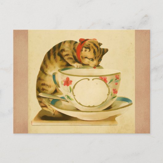 Cute  Cat Teacup Briefkaart (Voorkant)