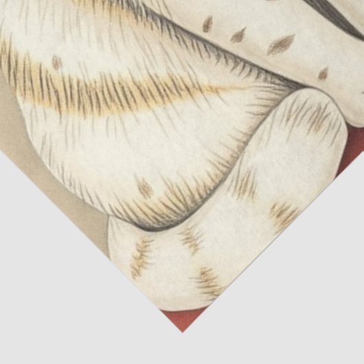 Cute Cat Tissue Paper Tissuepapier (Detail)