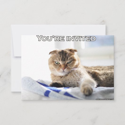 Cute cat-uitnodiging voor een partij kaart (Voorkant)