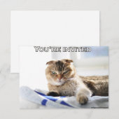 Cute cat-uitnodiging voor een partij kaart (Voorkant / Achterkant)