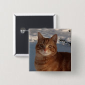 Cute Cat Vierkante Button 5,1 Cm (Voorkant /achterkant)