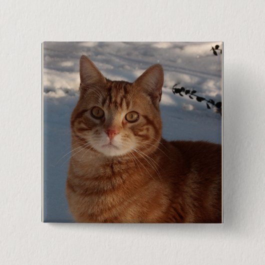 Cute Cat Vierkante Button 5,1 Cm (Voorkant)