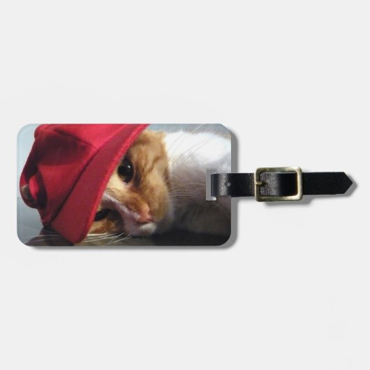 Cute Cat Wearing Red Pet Bagagelabel (Voorkant horizontaal)