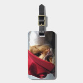 Cute Cat Wearing Red Pet Bagagelabel (Voorkant verticaal)