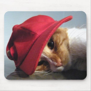 Cute Cat Wearing Red Pet Mousepad Muismat