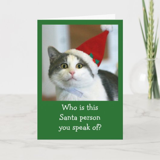 Cute Cat Wearing Santa Hat Feestdagen Kaart (Voorkant)