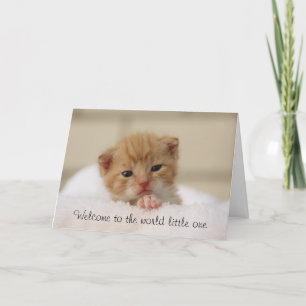Cute Cat Welcome to world baby wenskaart Kaart