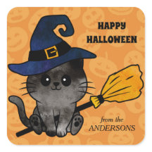 Cute Cat Witch en Broom Halloween