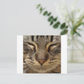 Cute Cat @ ZooTees Briefkaart (Staand voorkant)