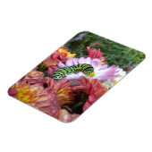 Cute Caterstyle on Bed of Mums Magnet Magneet (Linkerzijde)