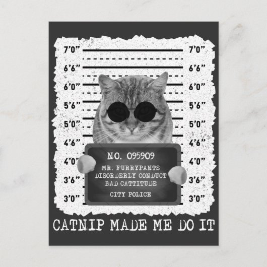 Cute Catnip maakte dat ik het cat Mugshot deed Briefkaart (Voorkant)