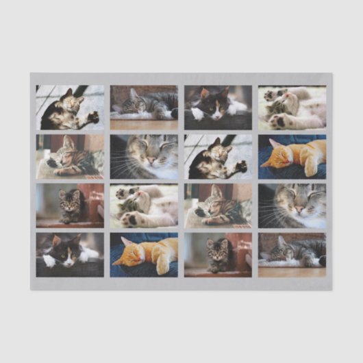 Cute Cats and Kittens Photo Template on Grey Tissuepapier (Voorkant)