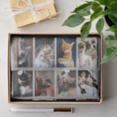Cute Cats and Kittens Photo Template on Grey Tissuepapier (Geschenk)