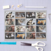 Cute Cats and Kittens Photo Template on Grey Tissuepapier (Craft)