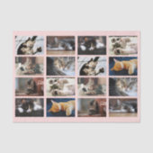 Cute Cats and Kittens Photo Template on Pink Tissuepapier (Voorkant)