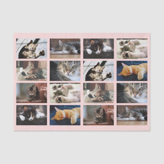 Cute Cats and Kittens Photo Template on Pink Tissuepapier (Voorkant)