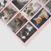 Cute Cats and Kittens Photo Template on Pink Tissuepapier (Detail)