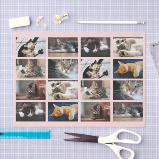 Cute Cats and Kittens Photo Template on Pink Tissuepapier (Craft)