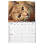 Cute Cats Calendar Kalender (Mar 2027)