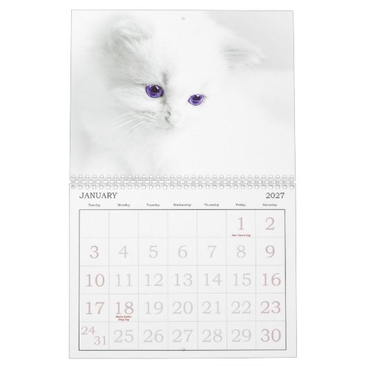 Cute Cats Calendar Kalender (Jan 2027)